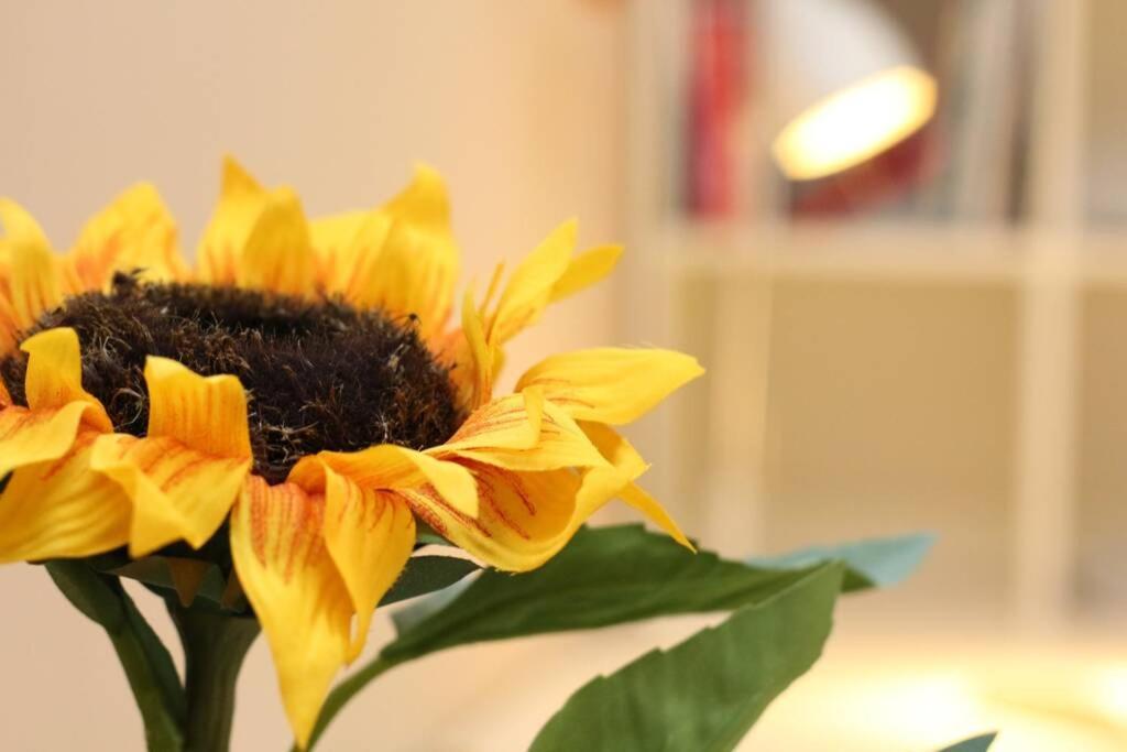 Fast Friend - Cozy Apartment In The Center With Private Garage Rijeka Bagian luar foto