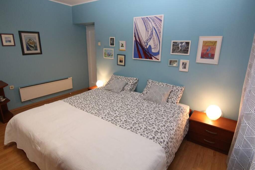Fast Friend - Cozy Apartment In The Center With Private Garage Rijeka Bagian luar foto
